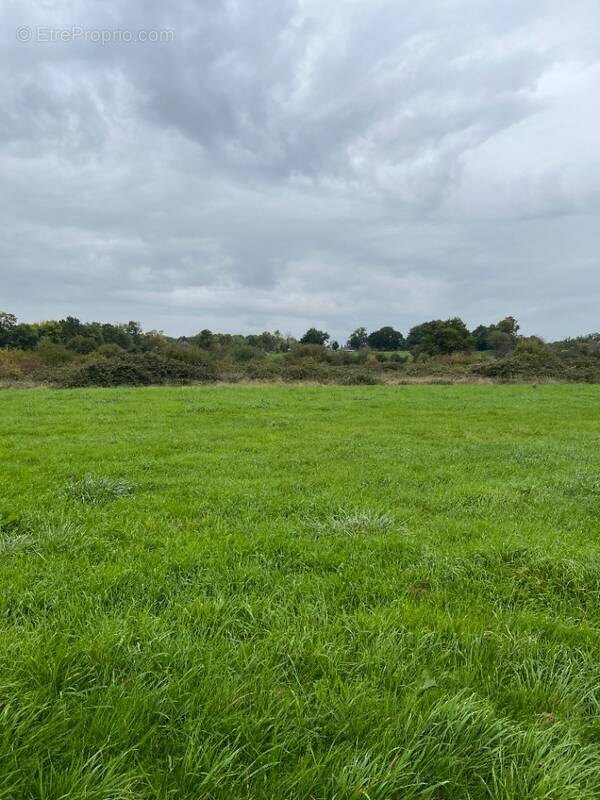 Terrain à SAINT-GERMAIN-DU-CORBEIS