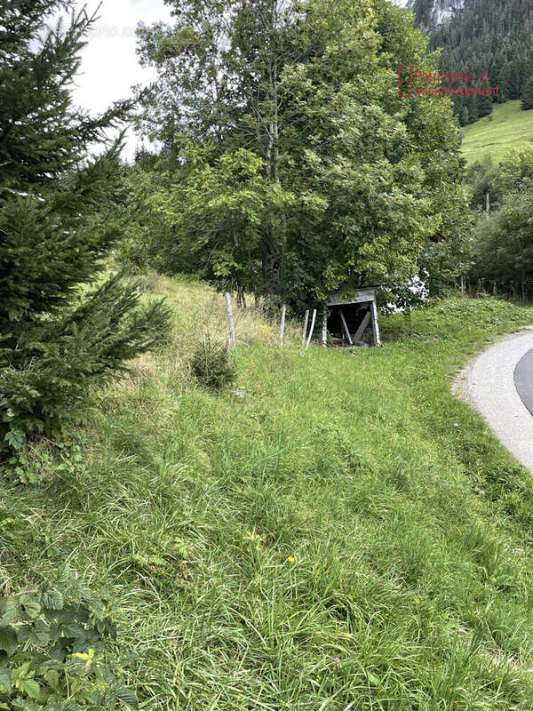 Terrain à LA CLUSAZ