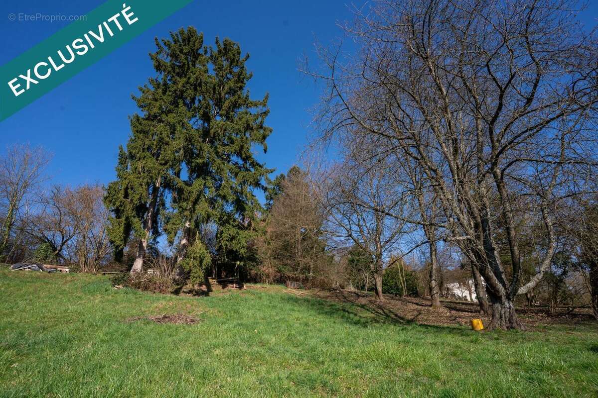 Photo 3 - Maison à NIEDERBRONN-LES-BAINS