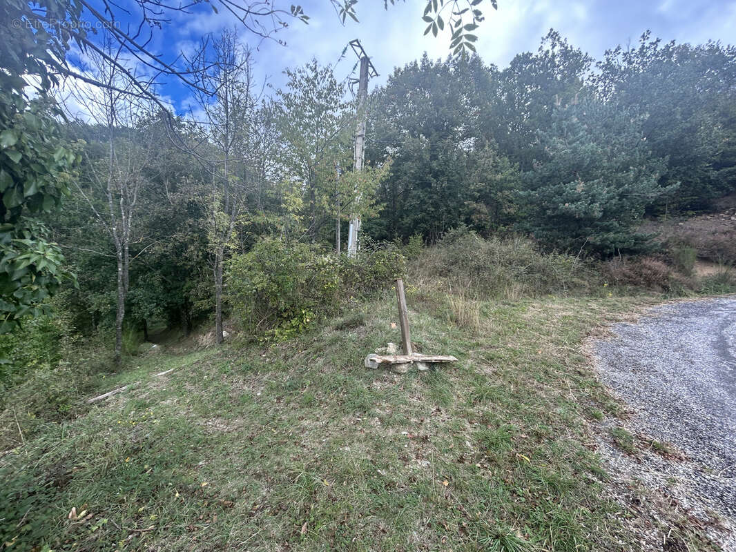 Terrain à PRATS-DE-MOLLO-LA-PRESTE