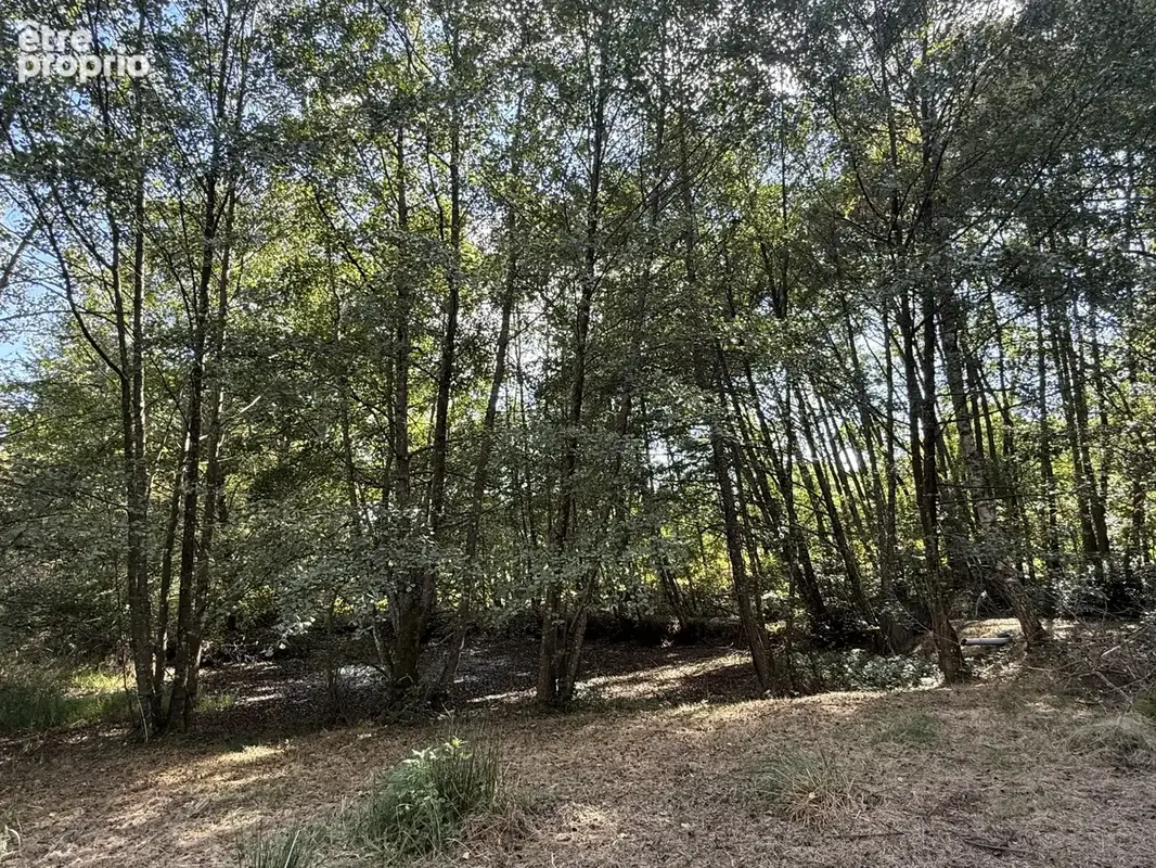 Maison en bois à rénover - secteur calme et naturel - Saint-Rémy-sur-Durolle - photo 10