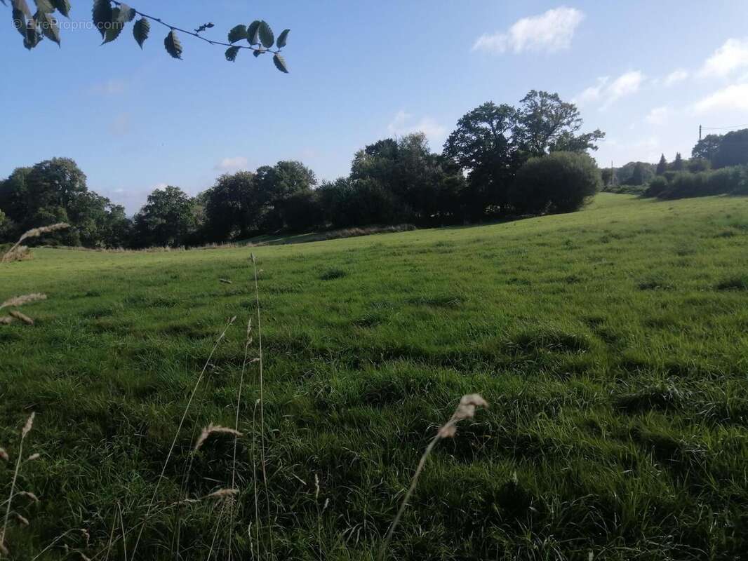 Photo 5 - Maison à FONTENERMONT