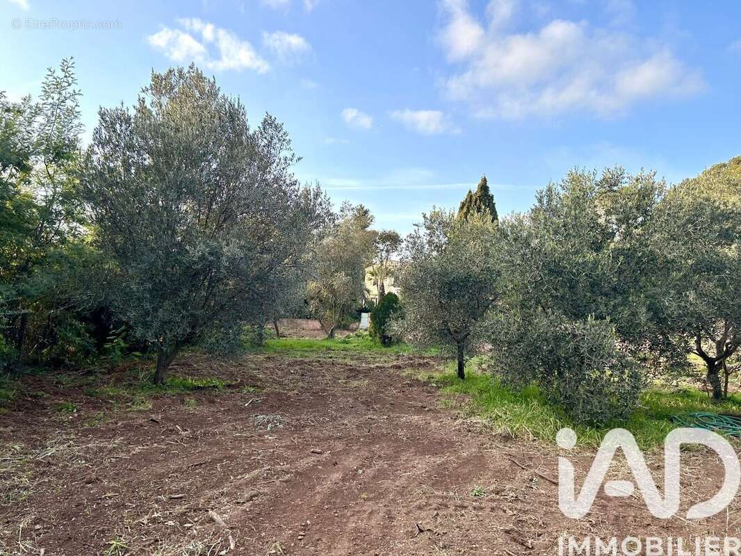 Photo 3 - Terrain à SAINT-RAPHAEL