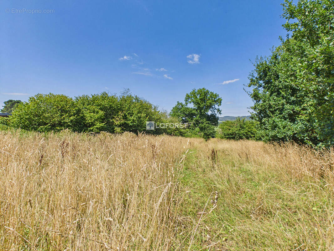 Terrain Lannedern 1540 m2 - photo 4
