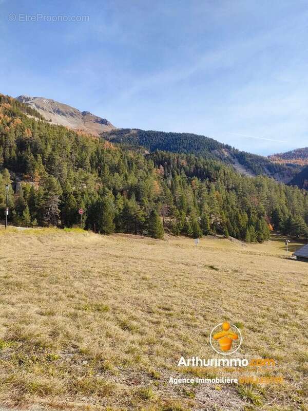 Terrain à ARVIEUX