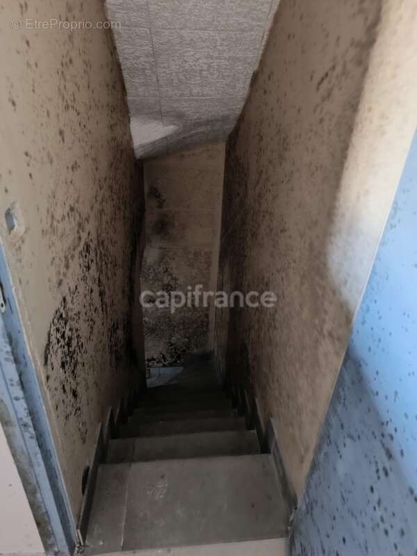 Maison à vendre 6 pièces SAINT AUBIN SUR YONNE (89) - photo 34