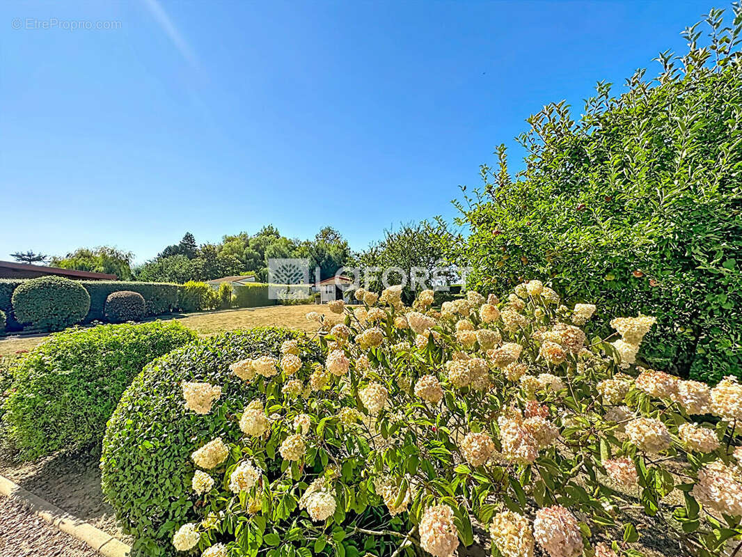 Plain-pied individuel - 3 chambres - 1 bureau - garage - 124m²  - Balinghem - photo 10