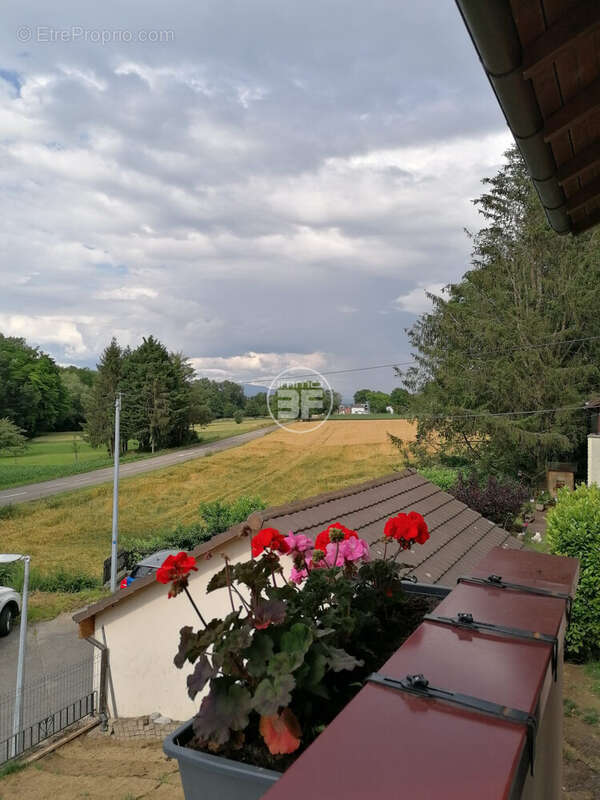 Maison à MICHELBACH-LE-BAS