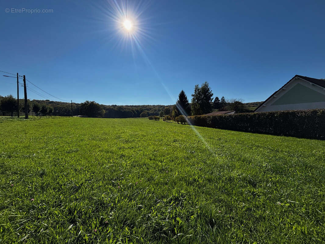 Terrain à MONTENOIS