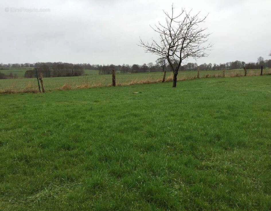 Maison à L&#039;EPINAY-LE-COMTE