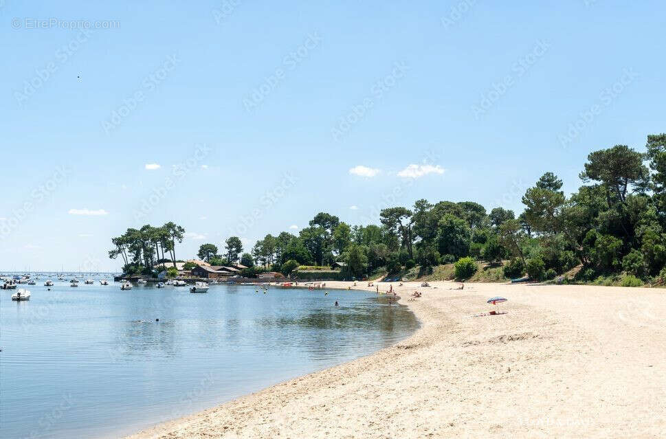 Maison à LEGE-CAP-FERRET