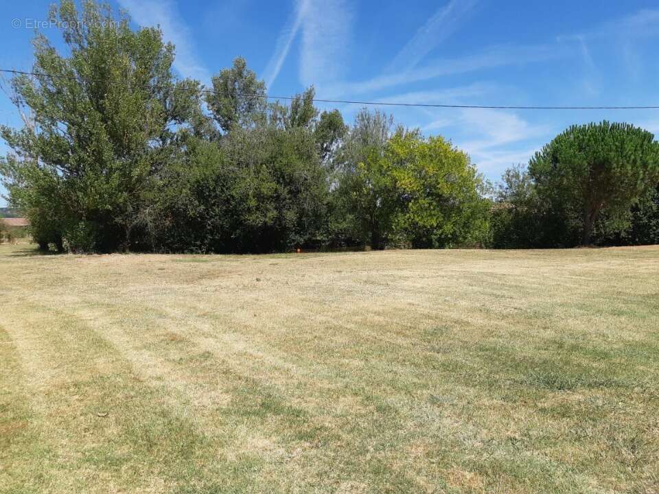Terrain à LAVAUR
