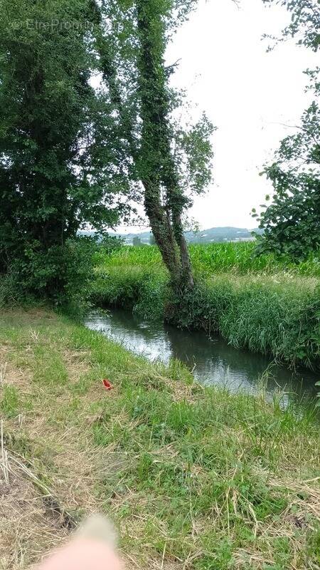 Terrain à MONDAVEZAN