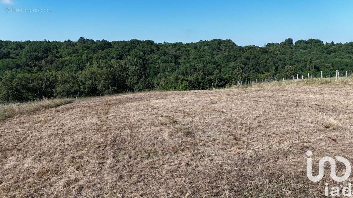 Photo 3 - Terrain à DURFORT-LACAPELETTE