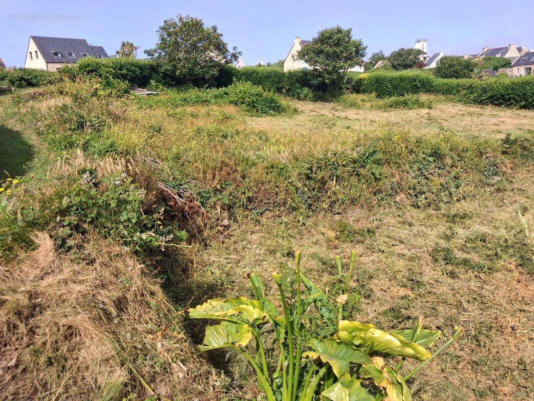 Terrain constructible - photo 3