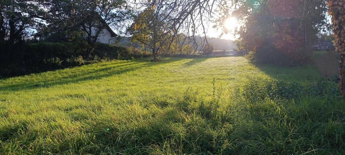 Terrain à MAGNIEU