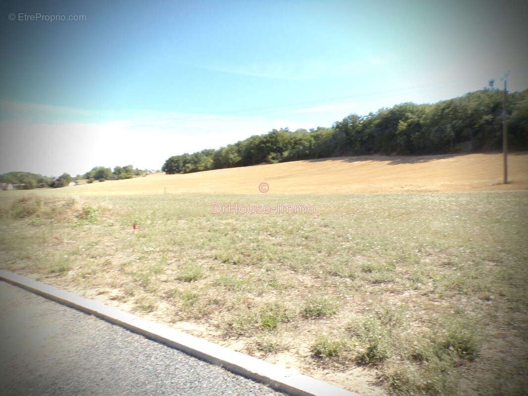 Terrain à SAINT-GAUZENS