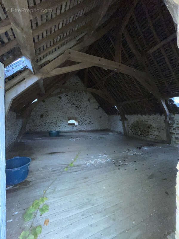 Maison à LA CHAPELLE-AU-RIBOUL