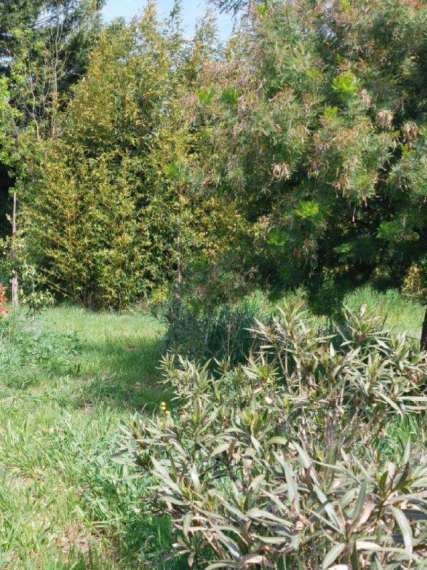 Maison à LE CANNET-DES-MAURES