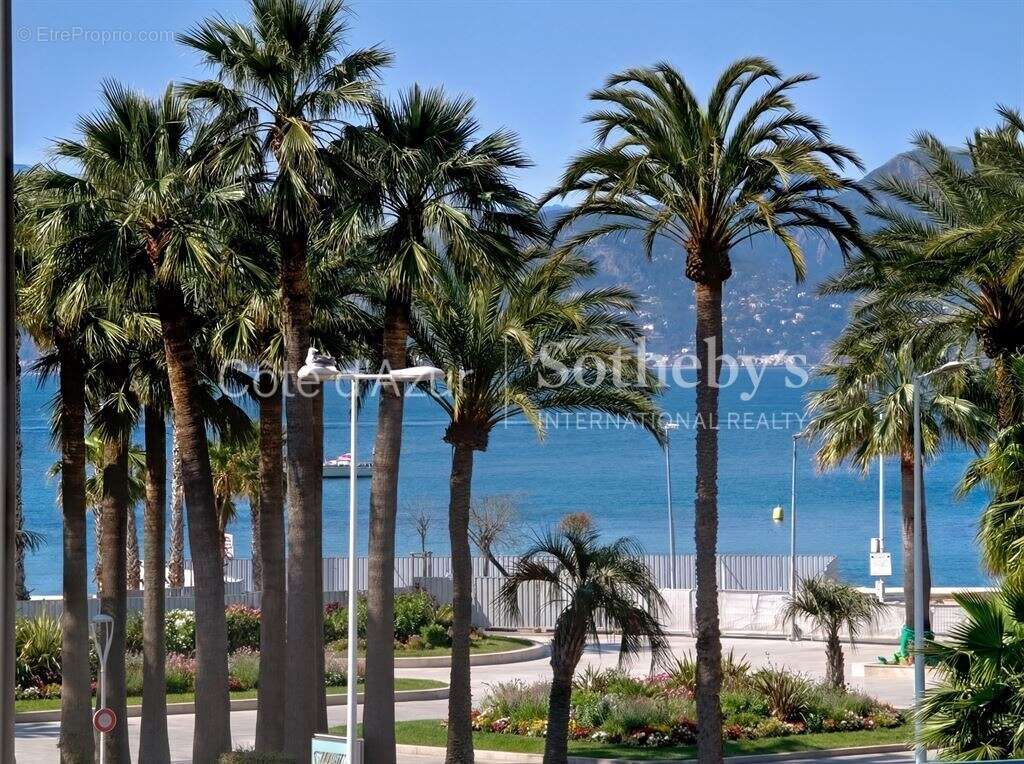 Maison à CANNES