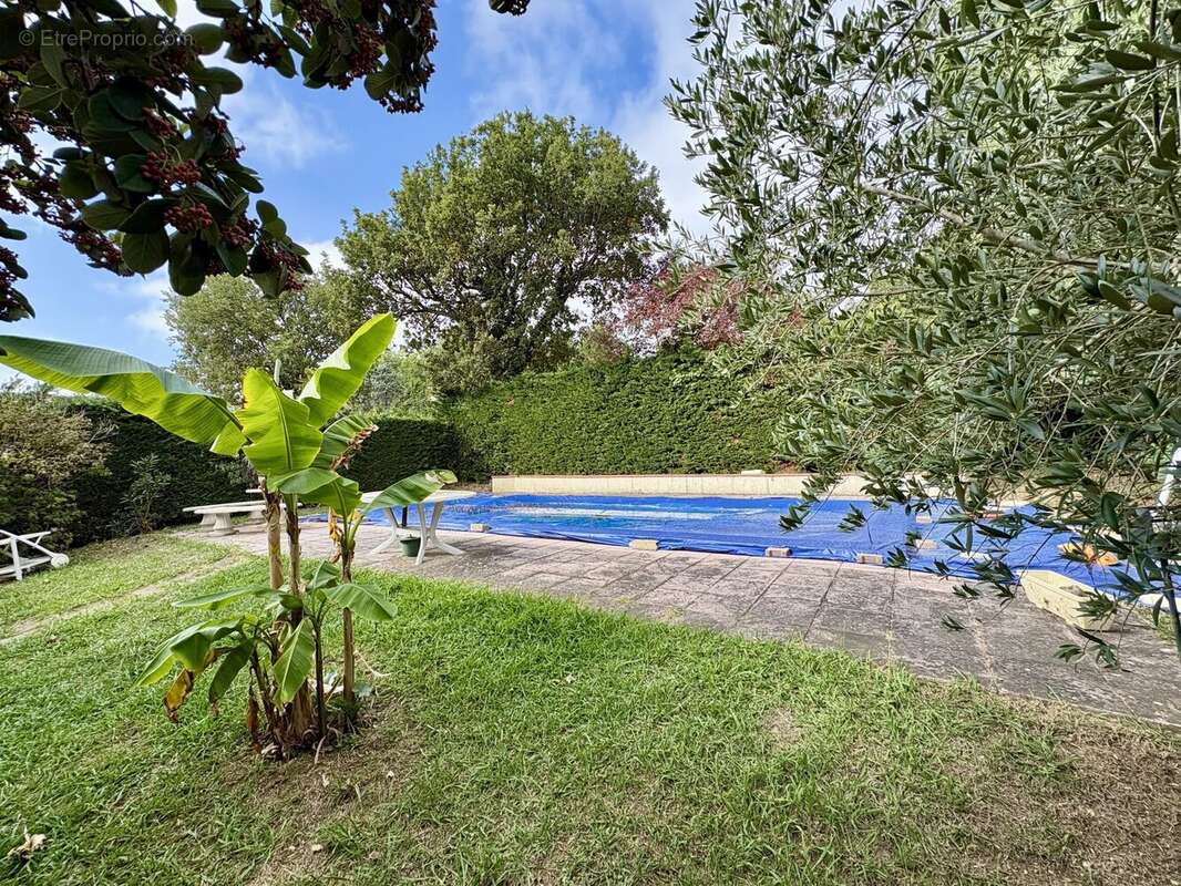 Maison à PLAISANCE-DU-TOUCH