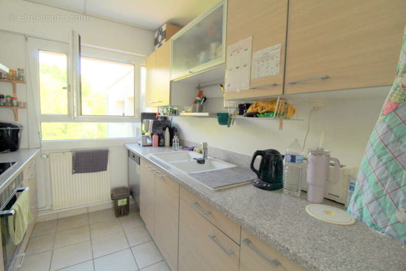 Appartement T3 dernier étage  GEX - photo 7