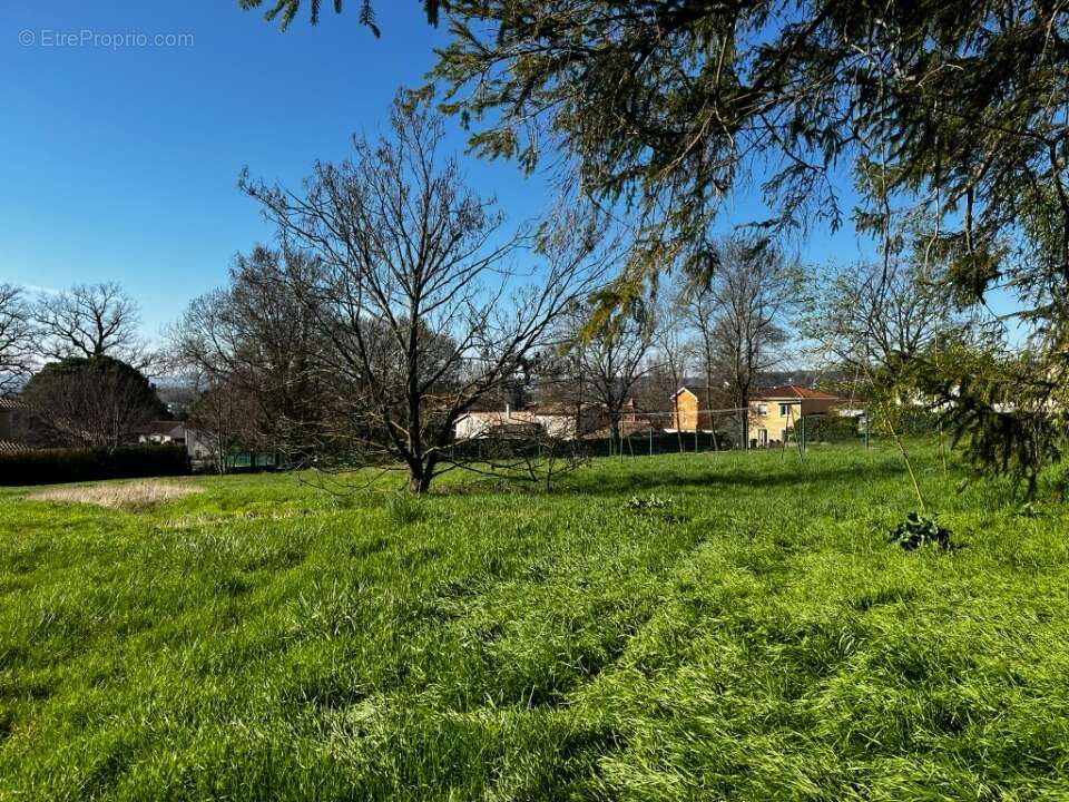 Terrain 453 m² à Parcieux  - photo 4