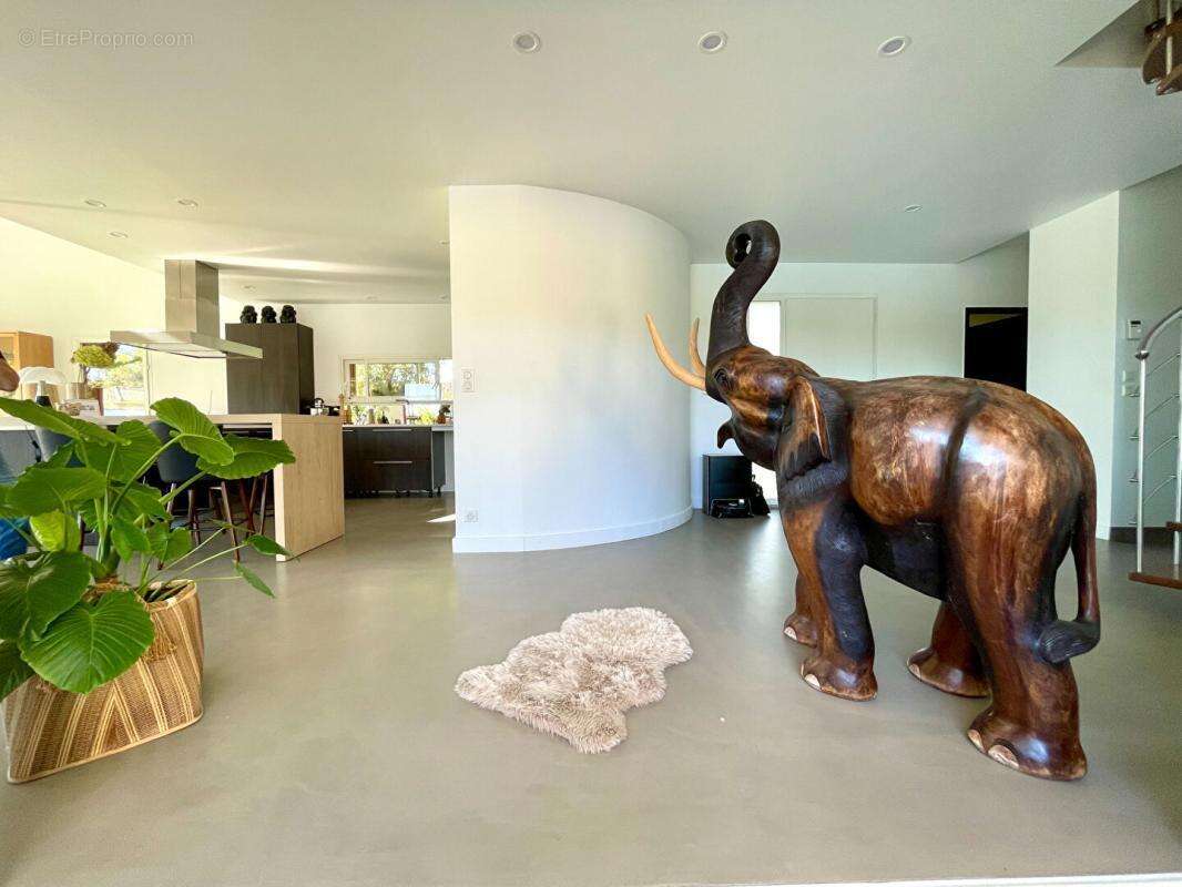 Superbe Villa Cestas 5 pièce(s) 252 m2 + garages + piscine - photo 8