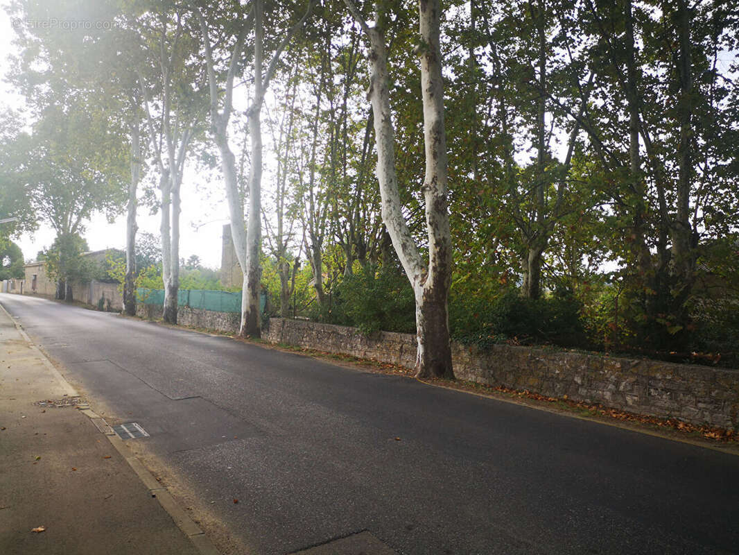 Terrain à CAMPAGNAN