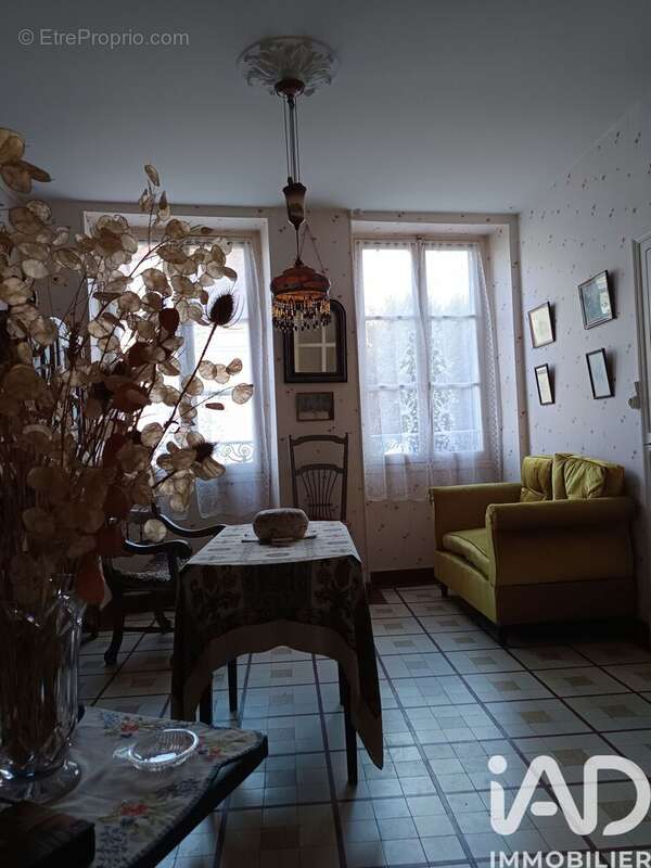 Photo 2 - Maison à CHATEAUNEUF-SUR-CHER