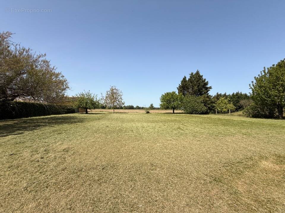 Photo Terrain à Garrevaques au prix de 78 000€