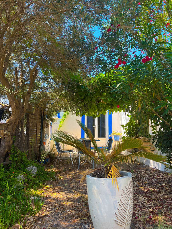 Maison à MARSEILLAN