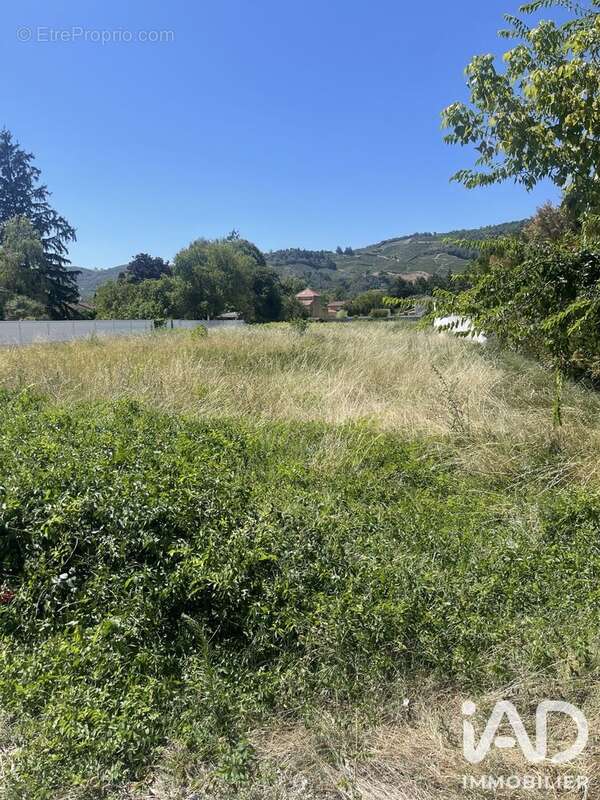 Terrain 319 m² à Tournon-Sur-Rhone  - photo 3