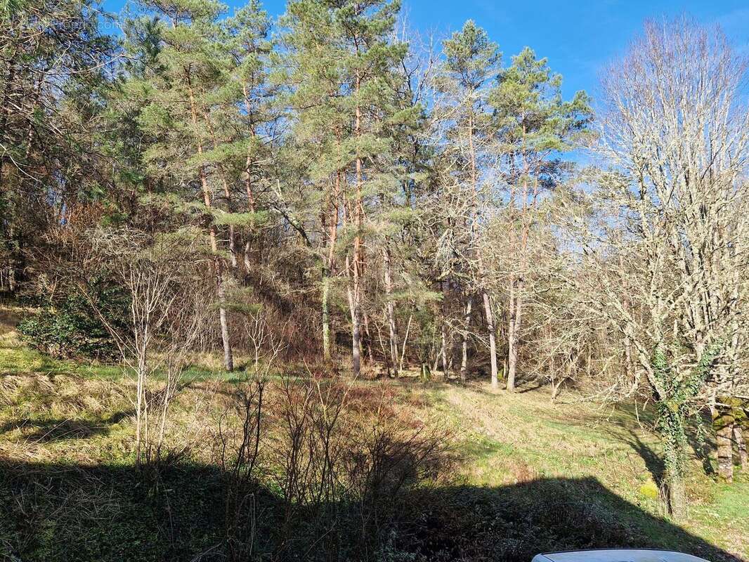 20260224094611 - Maison à CAMPAGNE