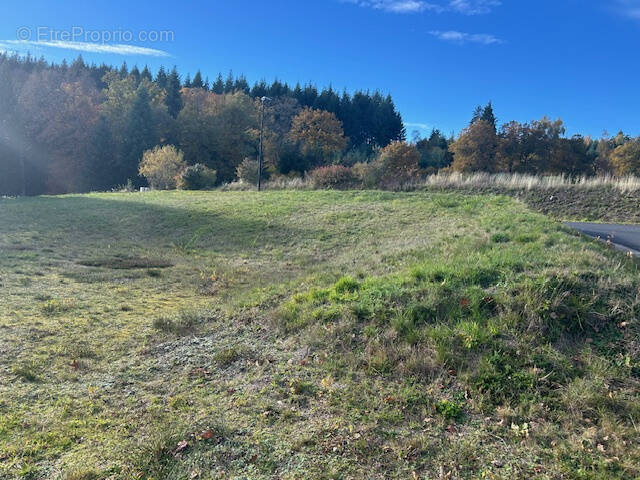 Terrain à SAINT-SETIERS