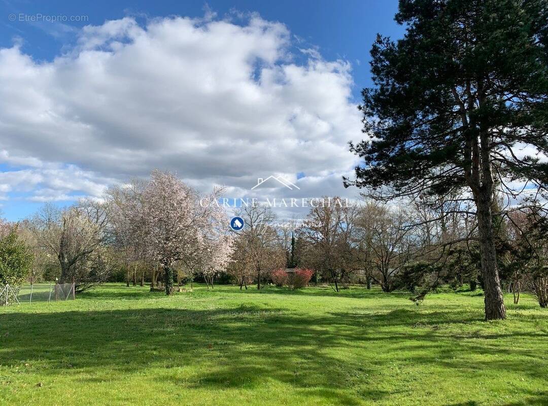 Terrain à TOURNEFEUILLE
