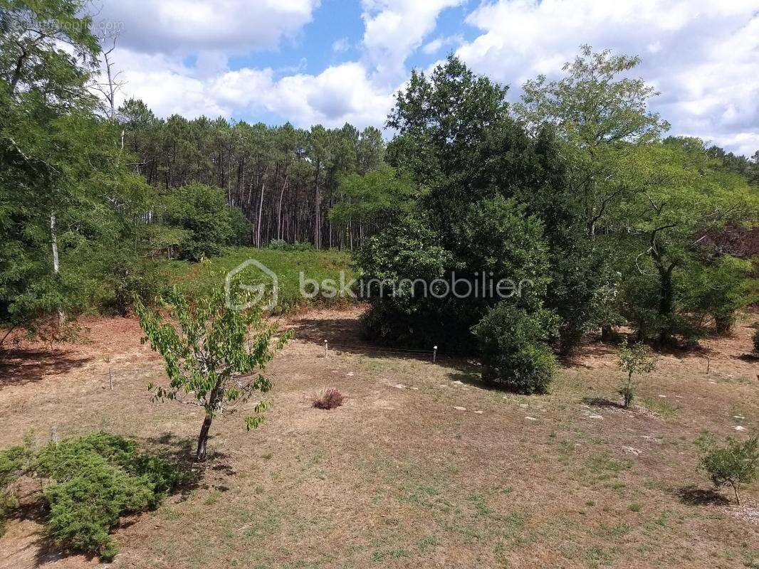 Maison à ONESSE-ET-LAHARIE