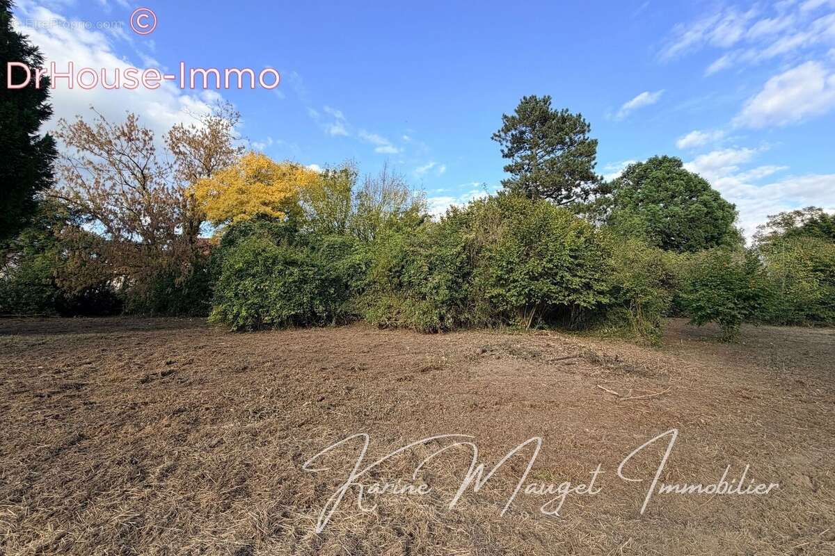 Terrain à LUMIGNY-NESLES-ORMEAUX