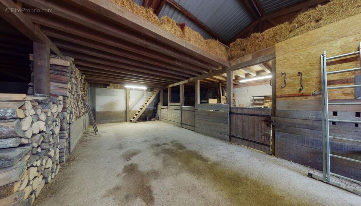 Maison à BUSSY-EN-OTHE