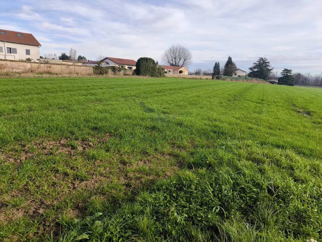 Terrain à SAINT-GEORGES-DE-RENEINS