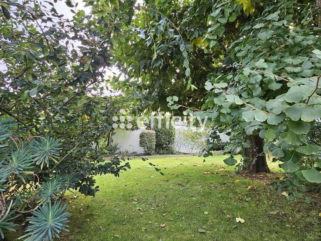 Maison à SAINTE-MARIE-DE-RE