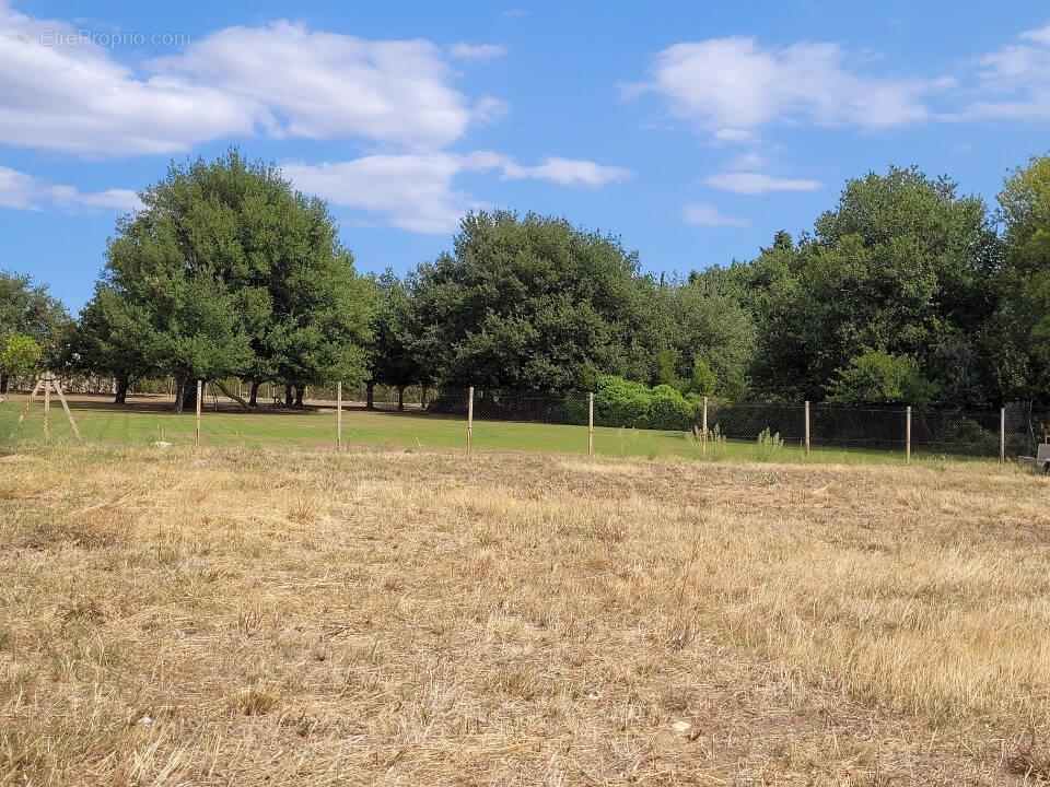 Terrain à TOULOUGES