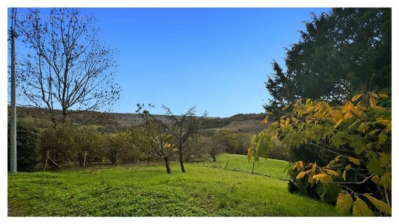 Maison à PONT-DU-CASSE