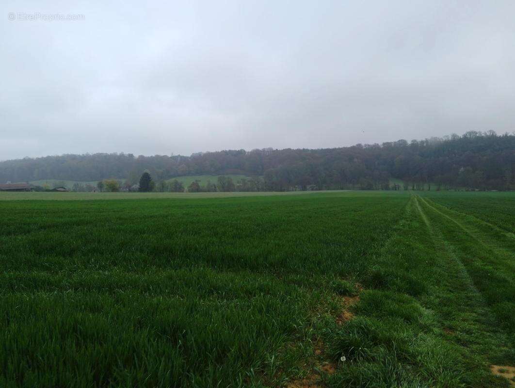 Terrain à SAINT-MARD-DE-RENO