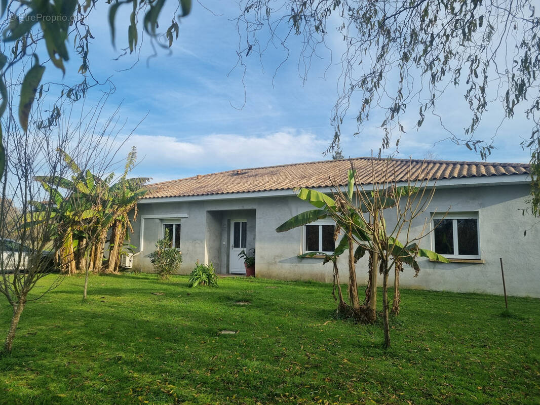 Maison à BAZAS