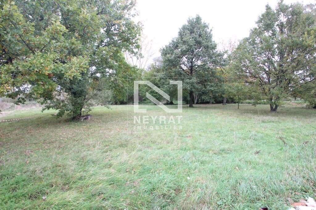 Villa avec dépendances - photo 9