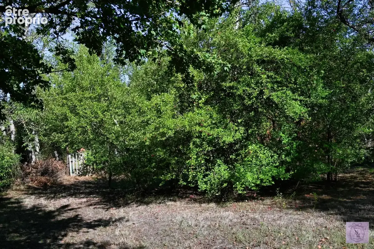 À vendre : charmante maison indépendante Alluy 58110 - photo 45