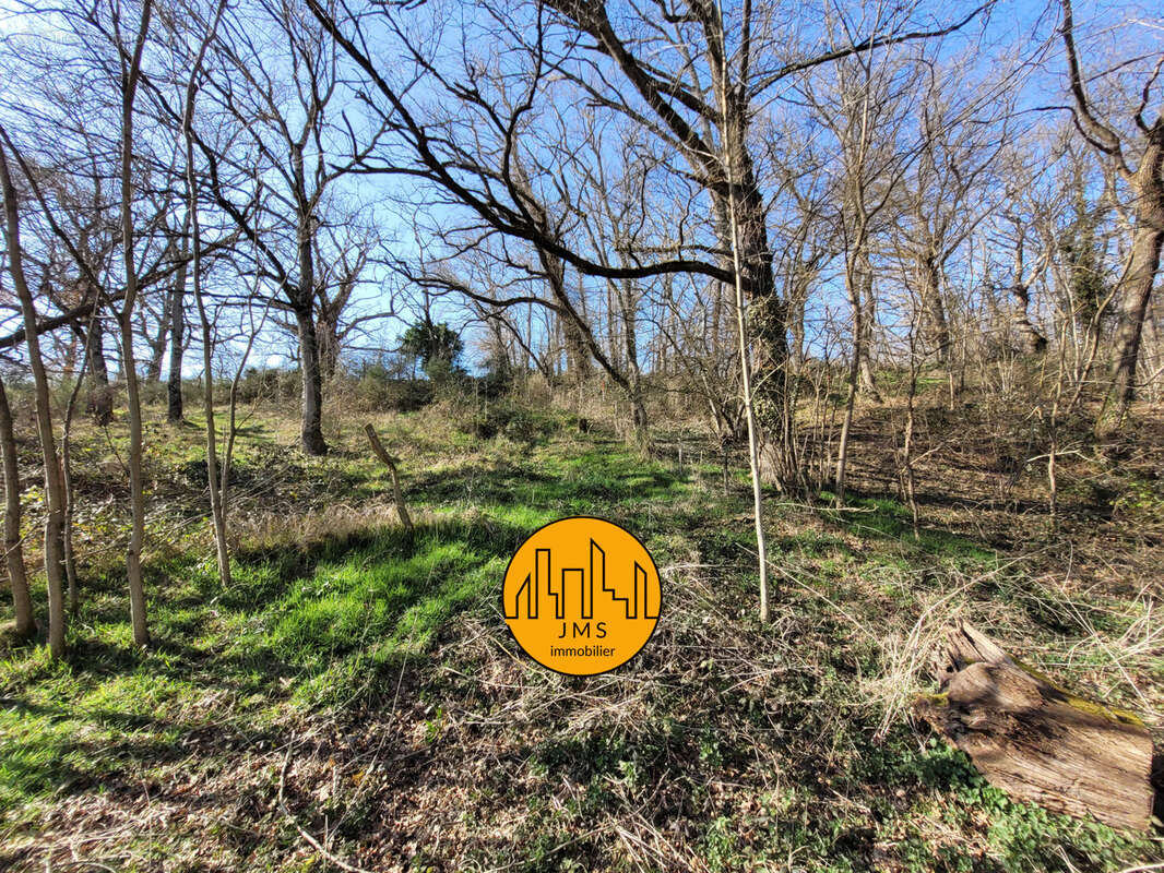 Maison à CHATEL-DE-NEUVRE