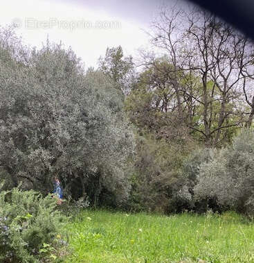 A vendre  proche commodités  peyruis terrain de 1285 m2 baisse de prix - photo 10