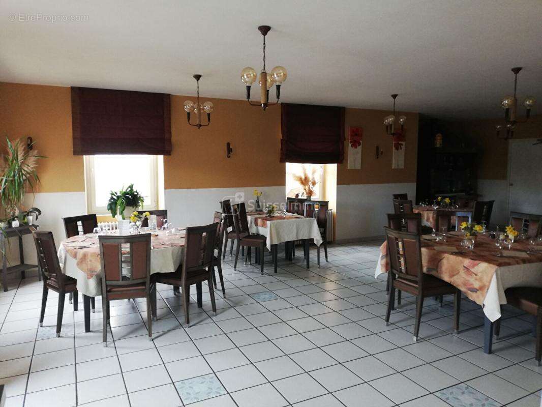 Grande Maison bord de Saône 10 pièce(s) 550 m2  avec terrasse et Parking - photo 6